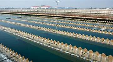 环保污水压滤机