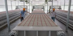 压滤机工业污泥压滤处理 压滤机工业污泥压滤处理