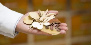 中药厂的“废水”处理