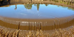 厢式压滤机在污泥深度处理中的应用