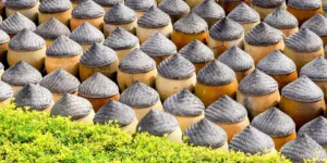 板框压滤机去除白酱油中细菌数的工艺