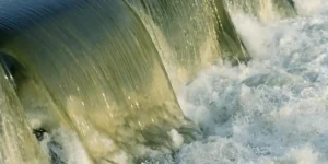 污泥低温干化技术