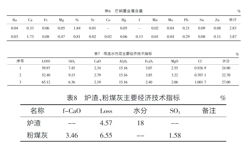 氯碱工业固体废弃物处理-板框厢式隔膜压滤机