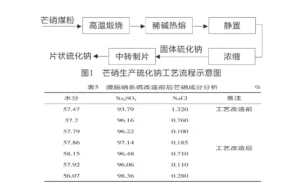 氯碱工业固体废弃物处理