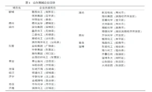 山东氯碱化工行业现状和发展战略