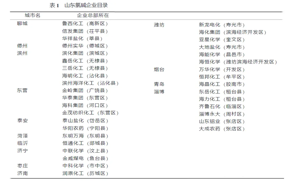 山东氯碱化工行业现状和发展战略-板框厢式隔膜压滤机