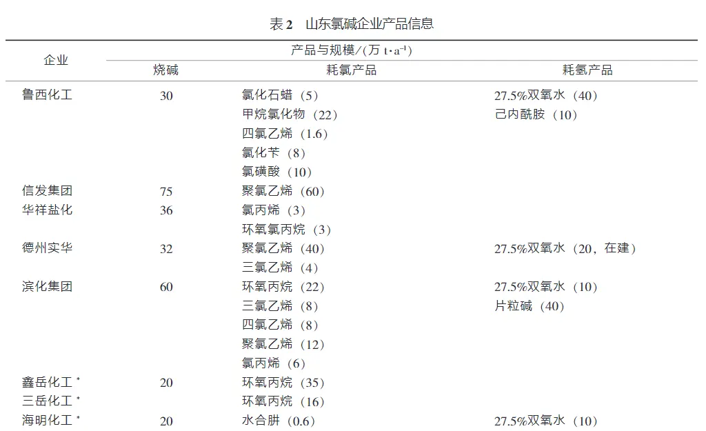 山东氯碱化工行业现状和发展战略-板框厢式隔膜压滤机