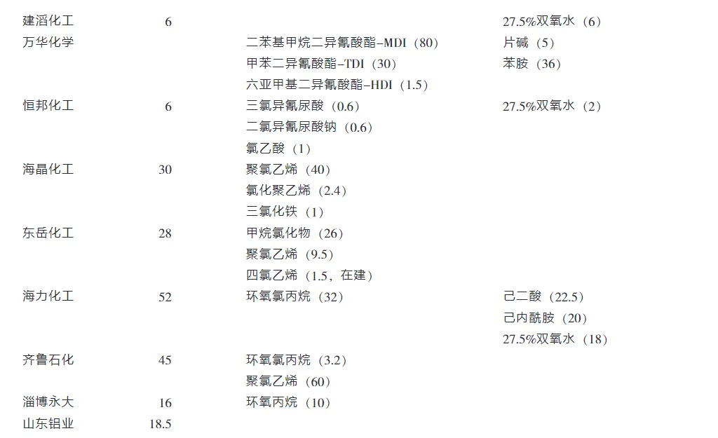 山东氯碱化工行业现状和发展战略-板框厢式隔膜压滤机