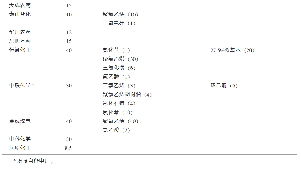 山东氯碱化工行业现状和发展战略-板框厢式隔膜压滤机