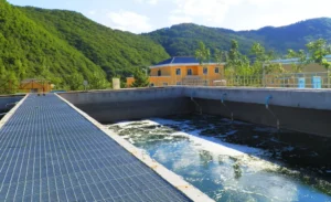 Wastewater treatment plant equipment selection and equipment management