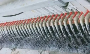 压滤机厂家（厢式压滤机、板框压滤机）