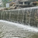 污水污泥压滤机深度脱水技术(城市污水) 污水污泥压滤机深度脱水技术(城市污水)