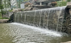 污水污泥压滤机深度脱水技术（城市污水）